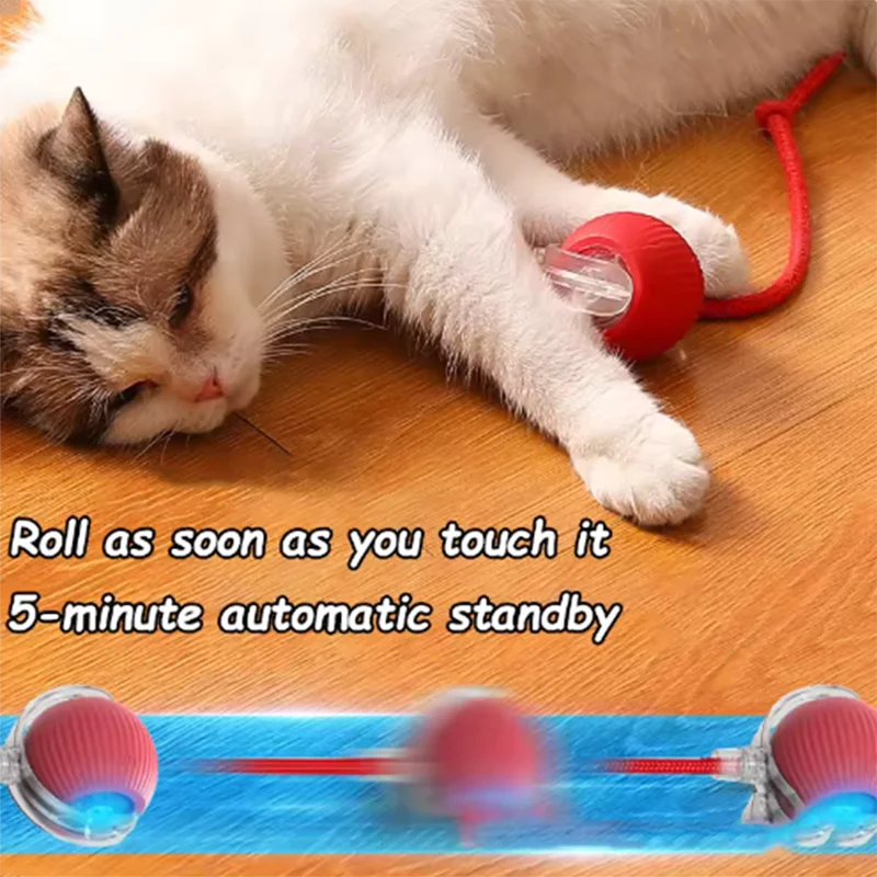 Hot cat toys are automatically teasing cat balls and self-exciting cat - Image 3