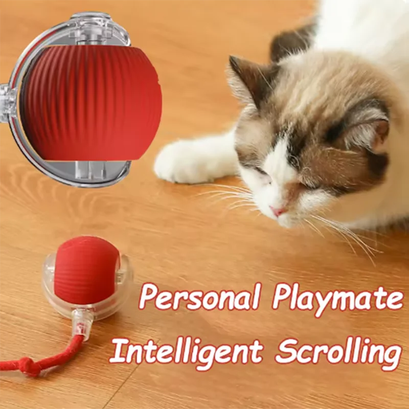 Hot cat toys are automatically teasing cat balls and self-exciting cat - Image 2