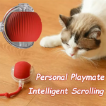 Hot cat toys are automatically teasing cat balls and self-exciting cat - Image 2