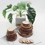 Natural Wood Slices - Round Pine Log Discs for DIY Crafts Decor - Image 4